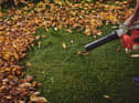The best cordless leaf blowers 2021