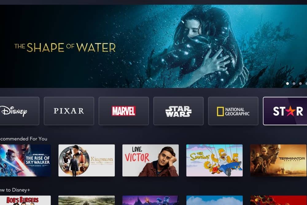 Does the new Star add-on make signing up to Disney + worth it?
