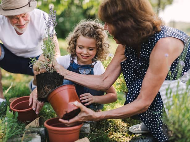 Essential gardening tools for spring 