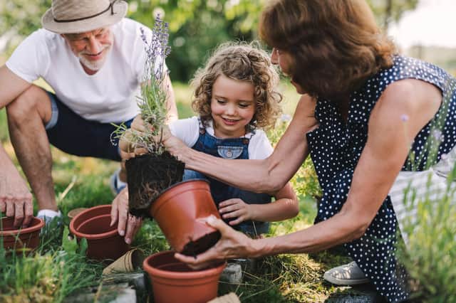 Essential gardening tools for spring