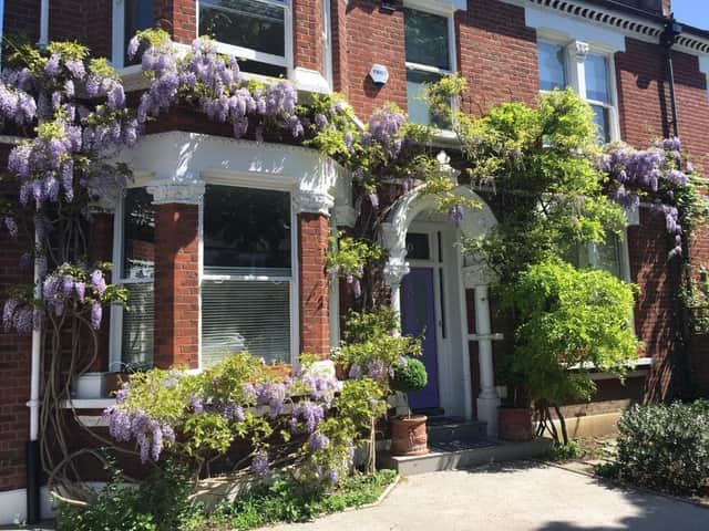 The Lilac Door 