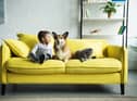 modern iterations have taken a huge leap forward in design - and, consequently, comfort. 
