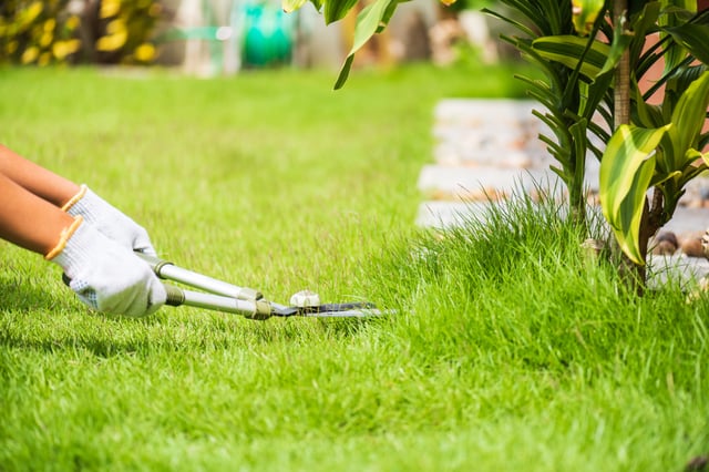 <p>Everything you need to maintain your lawn throughout the year</p>
