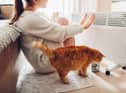 The best electric heaters for winter