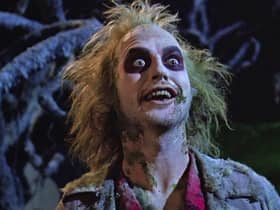 Beetljuice is a hit film