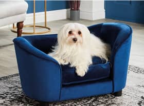 Small Navy Pet Sofa Bed