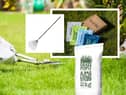 Everything you need to maintain your lawn throughout the year