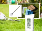 Everything you need to maintain your lawn throughout the year