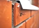 Spider season is here  but is it okay to remove spiders from your home and put them outside?