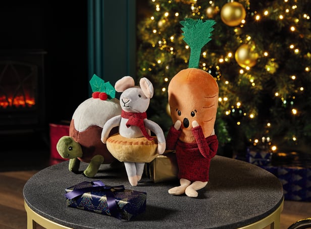 <p>Thousands of Kevin the Carrot fans queued on the Aldi website this morning </p>