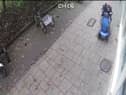 Screen Grab from footage of a pigeon crushed by a man in a scooter.