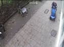 Screen Grab from footage of a pigeon crushed by a man in a scooter.