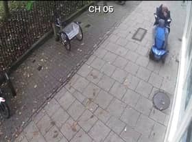 Screen Grab from footage of a pigeon crushed by a man in a scooter.