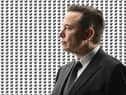 Elon Musk’s influence at Twitter is starting to be felt within the product itself (Image: NationalWorld / Getty Images)