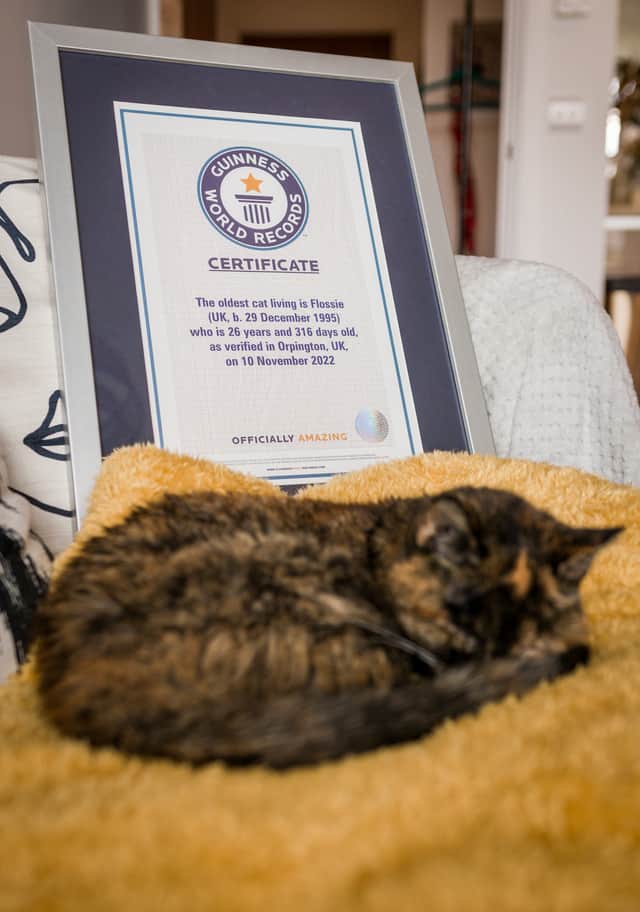 Record-breaker Flossie with her certificate.
