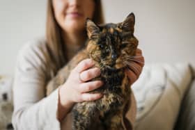 Flossie, pictured here with new owner Vicki, has been named the world’s oldest cat by the Guiness Book of World Records.