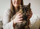 Flossie, pictured here with new owner Vicki, has been named the world’s oldest cat by the Guiness Book of World Records.