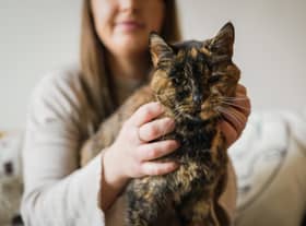 Flossie, pictured here with new owner Vicki, has been named the world’s oldest cat by the Guiness Book of World Records.