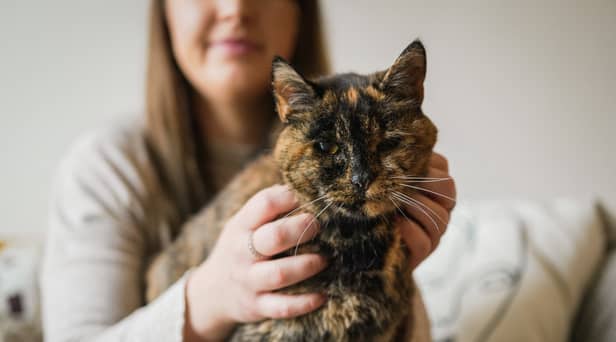Flossie, pictured here with new owner Vicki, has been named the world’s oldest cat by the Guiness Book of World Records.