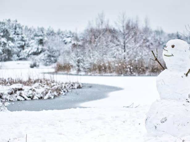 Bookies are in favour of a white Christmas this year