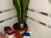 A mum has found a genius hack to permanently rid her bathroom of mould -