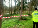 Oakwood Pond in Harlow.  