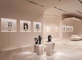 Art gallery pictured in the $40 million luxury underground bunker.