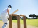 Only youth games will be allowed to be played at Colehill Cricket Club now