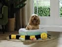Aldi has launched an affordable pet range this month