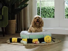 Aldi has launched an affordable pet range this month