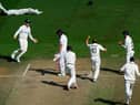 Neil Wagner of New Zealand celebrate the wicket of during day five of the Second Test Match between New Zealand and England at Basin Reserve on February 28, 2023 in Wellington, New Zealand. (Photo by Hagen Hopkins/Getty Images)