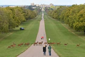 King Charles III is making some major changes to make Windsor Castle more environmentally friendly.