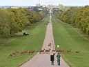 King Charles III is making some major changes to make Windsor Castle more environmentally friendly.
