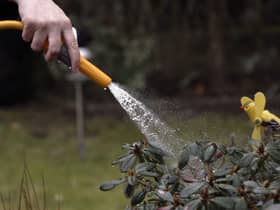 Some areas in England could see hosepipe bans this year after a dry winter.