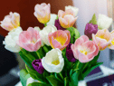 Mother’s Day 2023 - Morrisons best offers