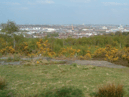 The poor animal was found dead by passers-by at a park in Wirral, Merseyside - Credit: GFA and Google Streetview