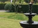 Five garden features which could affect your property’s value - from artificial grass to neglected sheds
