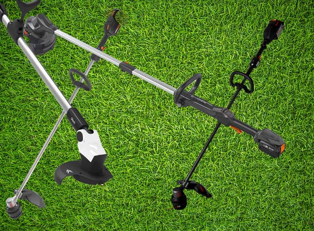 Best battery-run grass trimmers UK 2023 
