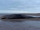 A marine life charity received calls about a stranded sperm whale (not pictured) on a beach at Cleethorpes at around noon on Good Friday. 