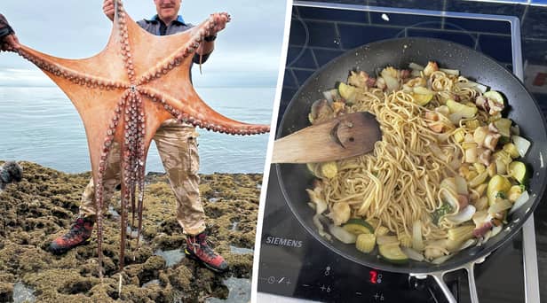 Ziggy Austin with the seven foot octopus at Hopes Nose near Torquay, Devon and the octopus-based stir fry. 