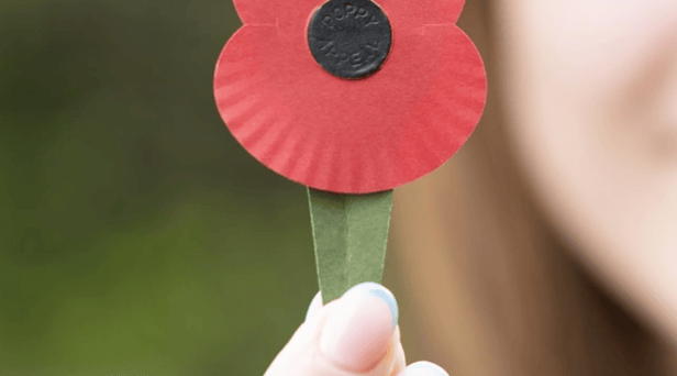 The new plastic-free poppy (Photo: Royal British Legion) 