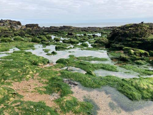 The Featherbed Rocks, where the remains were discovered in 2006 (NationalWorld)