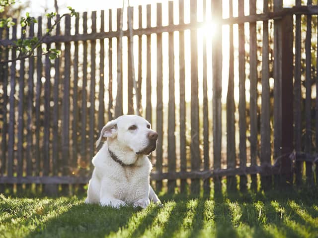 A dog owner has been fined £750 for allowing their dog to poo in their own garden