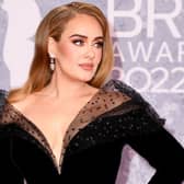 Adele Brit Bwards PW Featured Image  (19).jpg