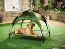 Aldi has launched a new affordable pet range to help keep pets warm during the warmer months 