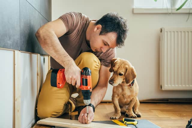 New pets and DIY activities were major contributors to Covid lockdown hospitalisations (image: Shutterstock)