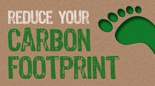Reduce your carbon footprint (photo: Shutterstock)