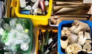 Correctly sort out your waste (photo: shutterstock)