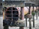 Rise in bills expected as England’s water companies promise to tackle sewage spills (Photo by GLYN KIRK/AFP via Getty Images)