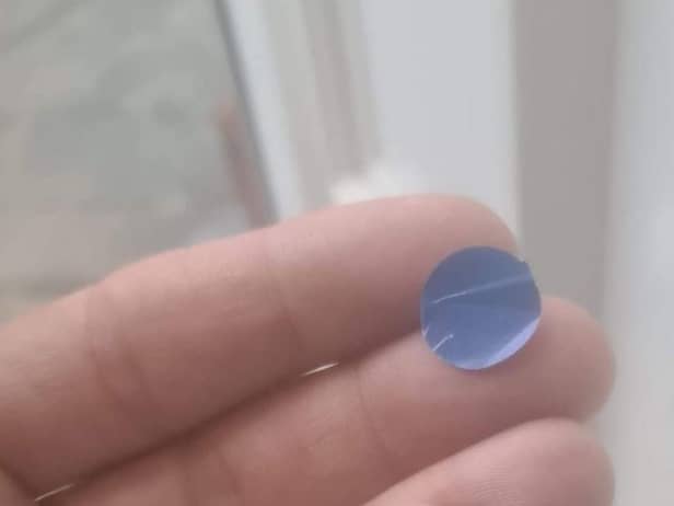 The dog owner believes the colour blue was used as her dogs are male (Image: Wirral Animal Samaritans: Facebook)